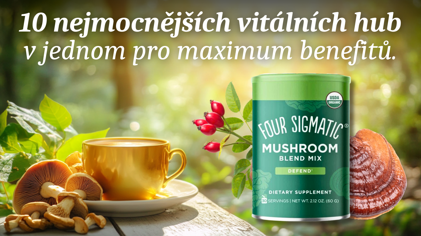 10 Mushroom Blend Mix BIO prášek (vitální houby), 60 g -2